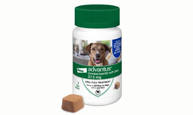 advantus for Dogs bottle with soft chew thumbnail