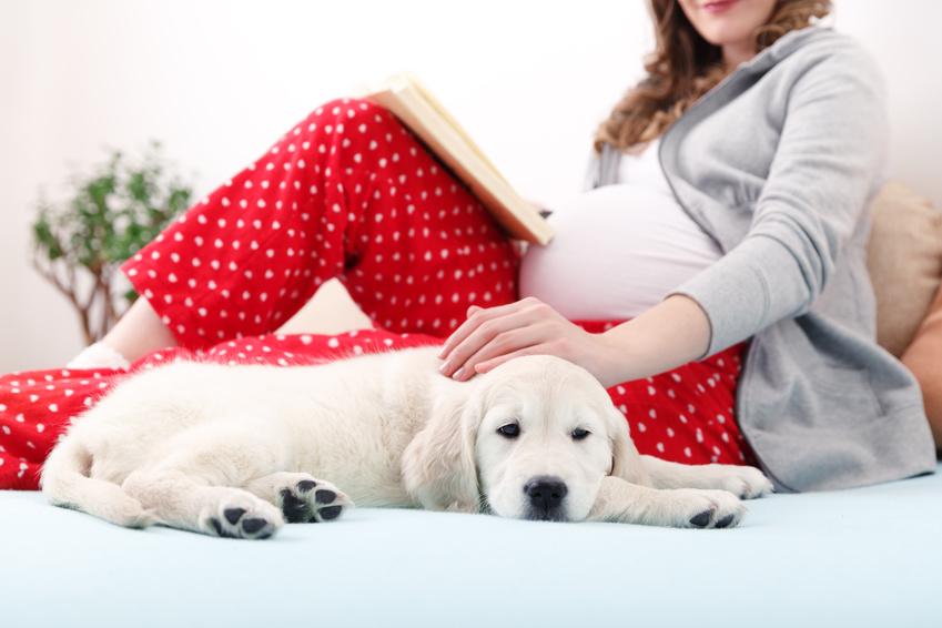 Mujer embarazada acariciando a su perro