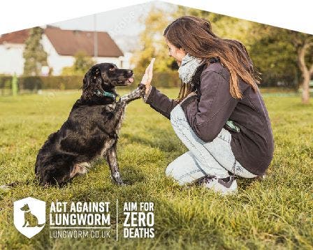 Pledge for zero deaths from lungworm in dogs