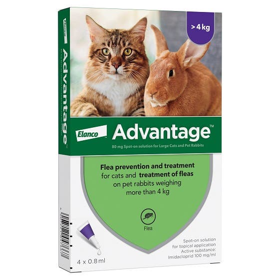 Advantage flea control in cats and rabbits over 4kg
