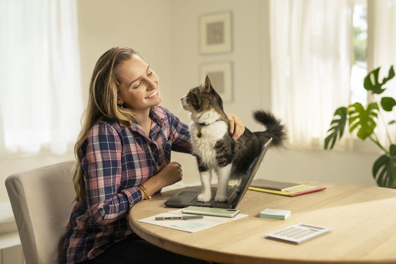 Image showing a cat and its owner 