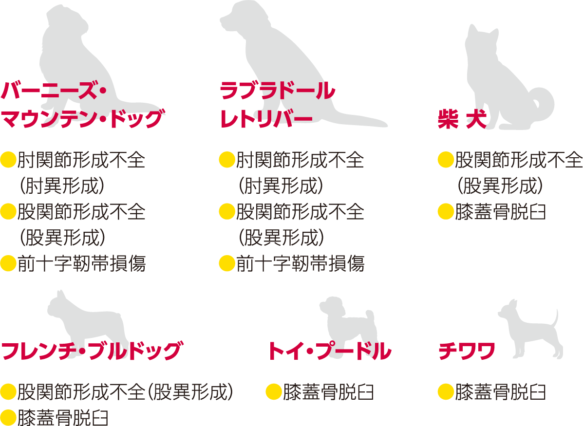 犬種別の関節疾患