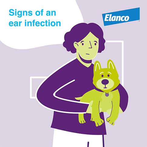 Signs of an ear infection