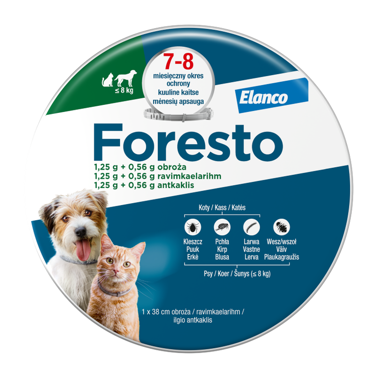 Opakowanie z obrożą Foresto dla kotów i małych psów 
