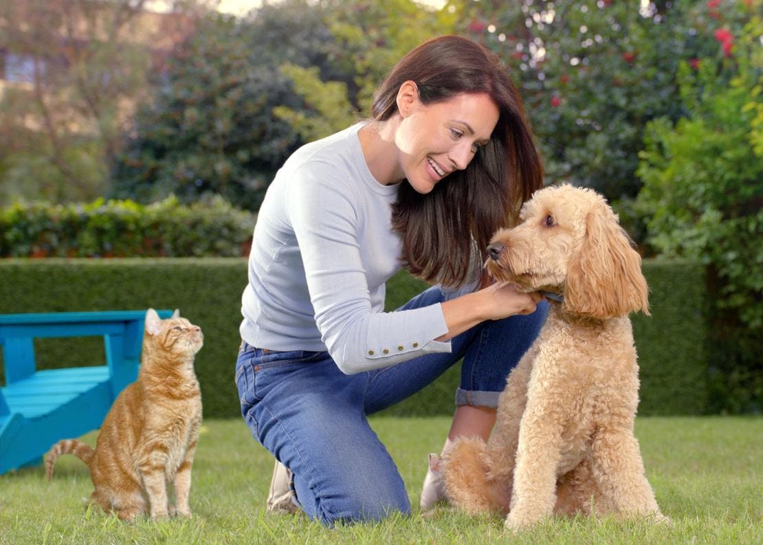 Cat and dog fleas can cause your pet discomfort and lead to a flea infestation in your home