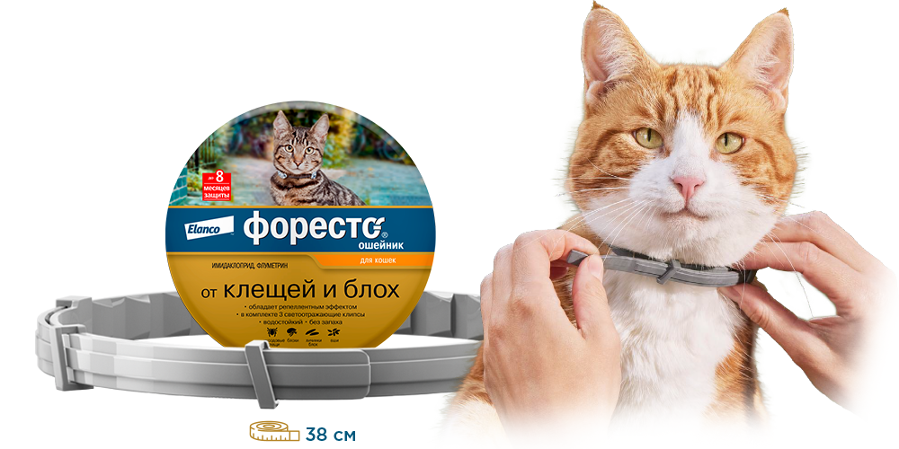 Ошейник от блох для кошек Озон