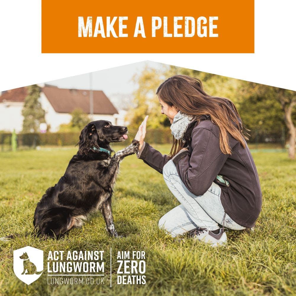 Pledge to Aim for Zero against lungworm