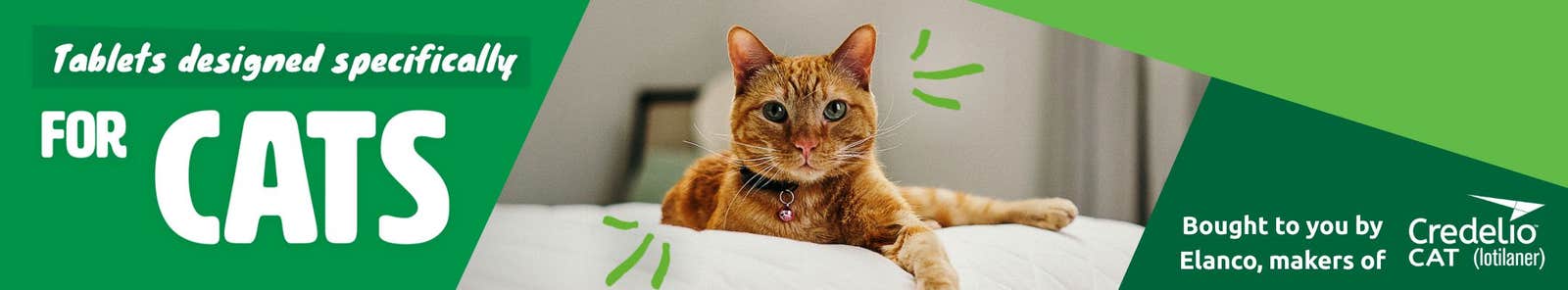 Credelio Cat post prescription banner