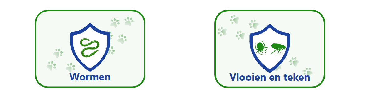 Grafische iconen voor de bescherming tegen wormen, vlooien en teken, weergegeven als groene parasieten binnen een blauw beschermend schild.