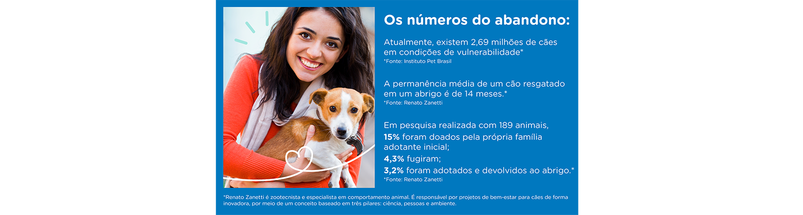 Atualmente existem muitos cães em situação de rua