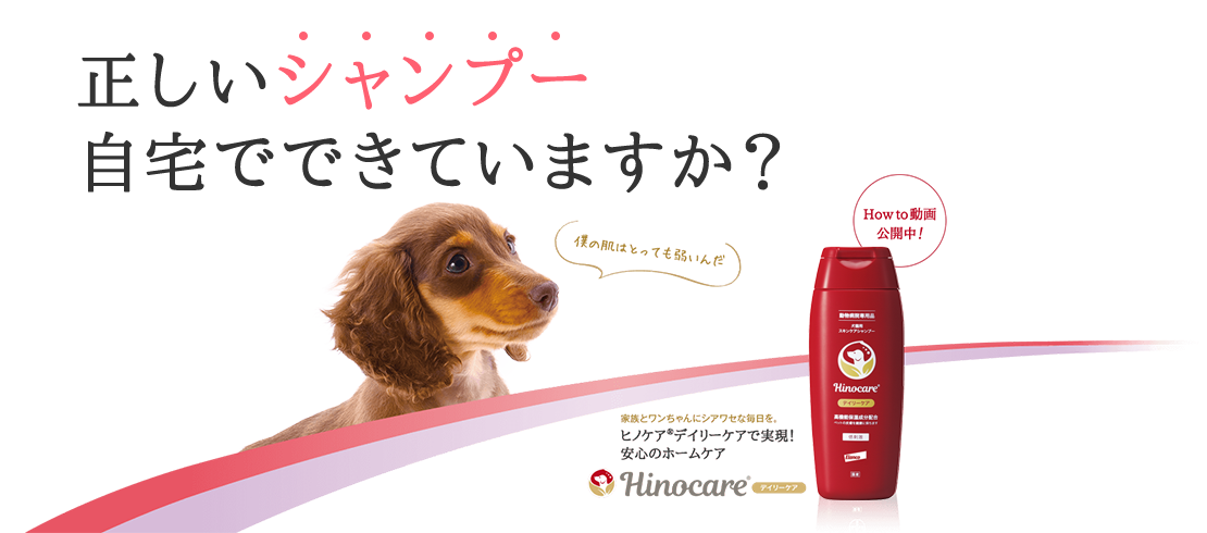 正しいシャンプー自宅でできていますか？_タイトル