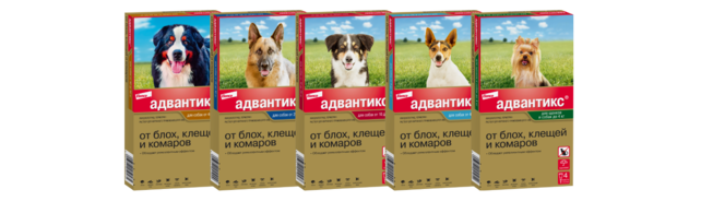 Упаковки Адвантикс®