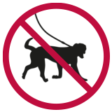 Short walks or refusal to walk