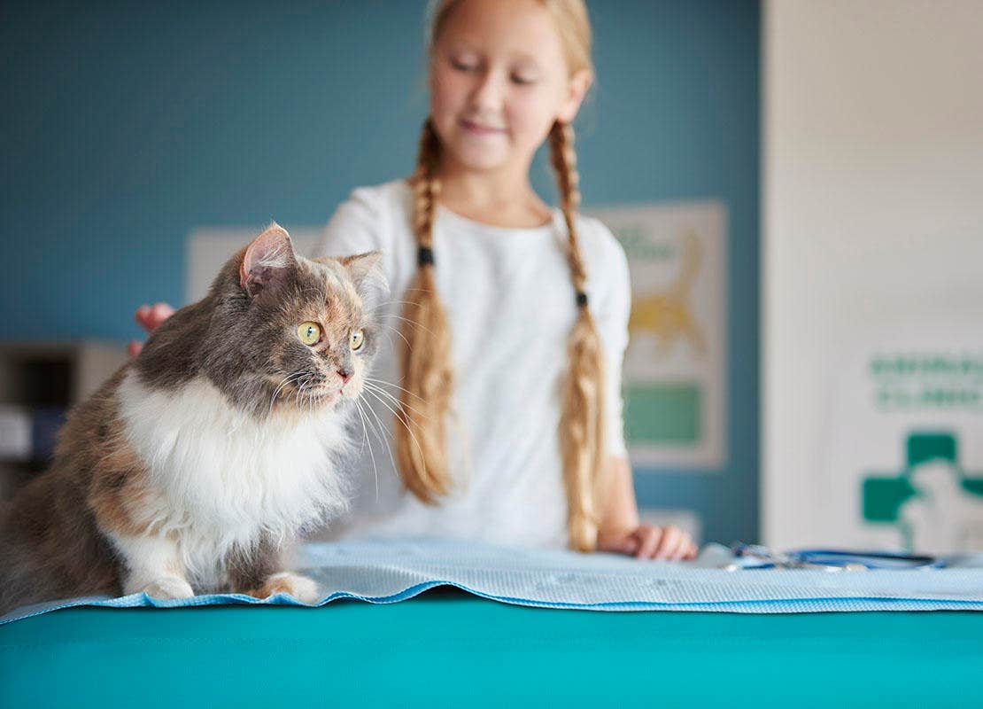 Niña y su gato en el veterinario