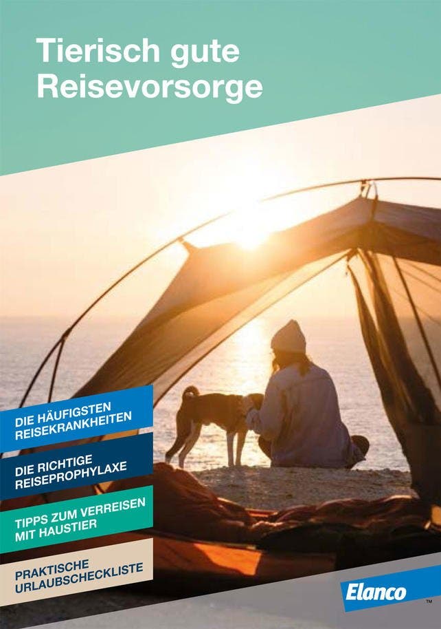 Tierisch gute Reisevorsorge - Broschüre Cover