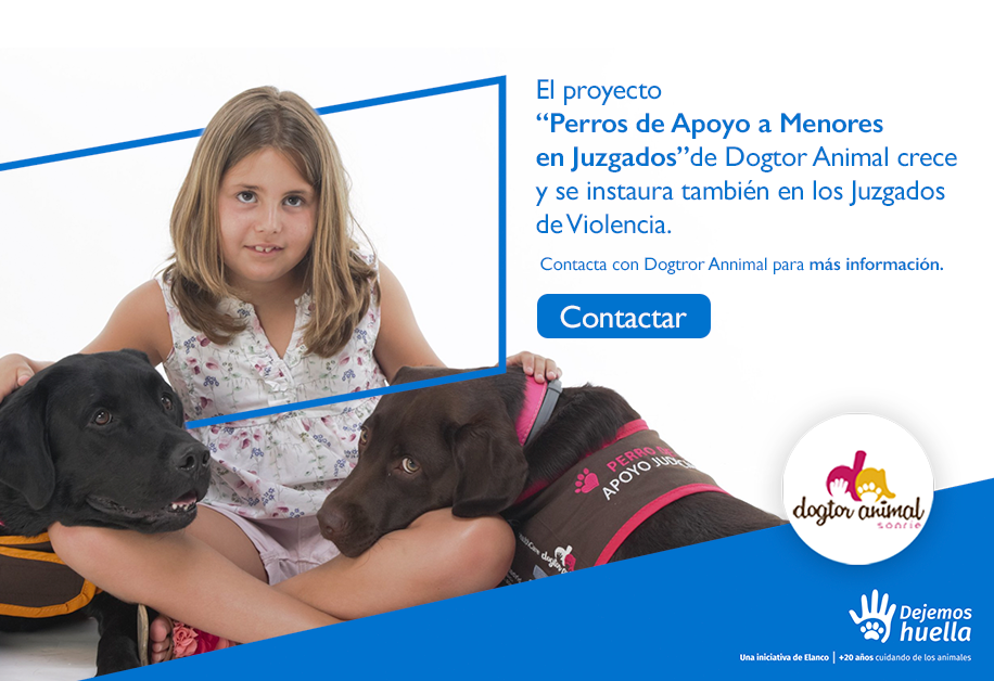 Dogtor Animal