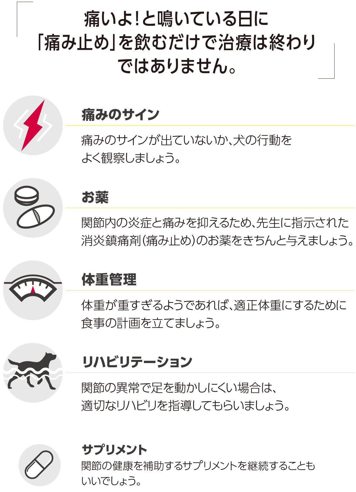 OA管理を始める。痛みのサインの観察・お薬・体重管理・リハビリテーション・サプリメント