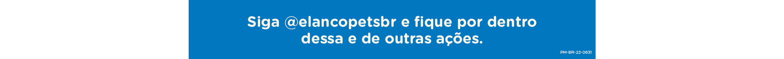 Siga Elancopetsbr nas redes sociais