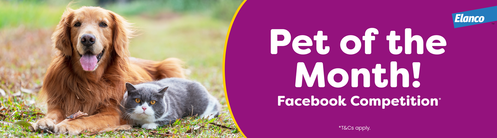 Cat and dog. Pet of the Month Facebook competition banner. 