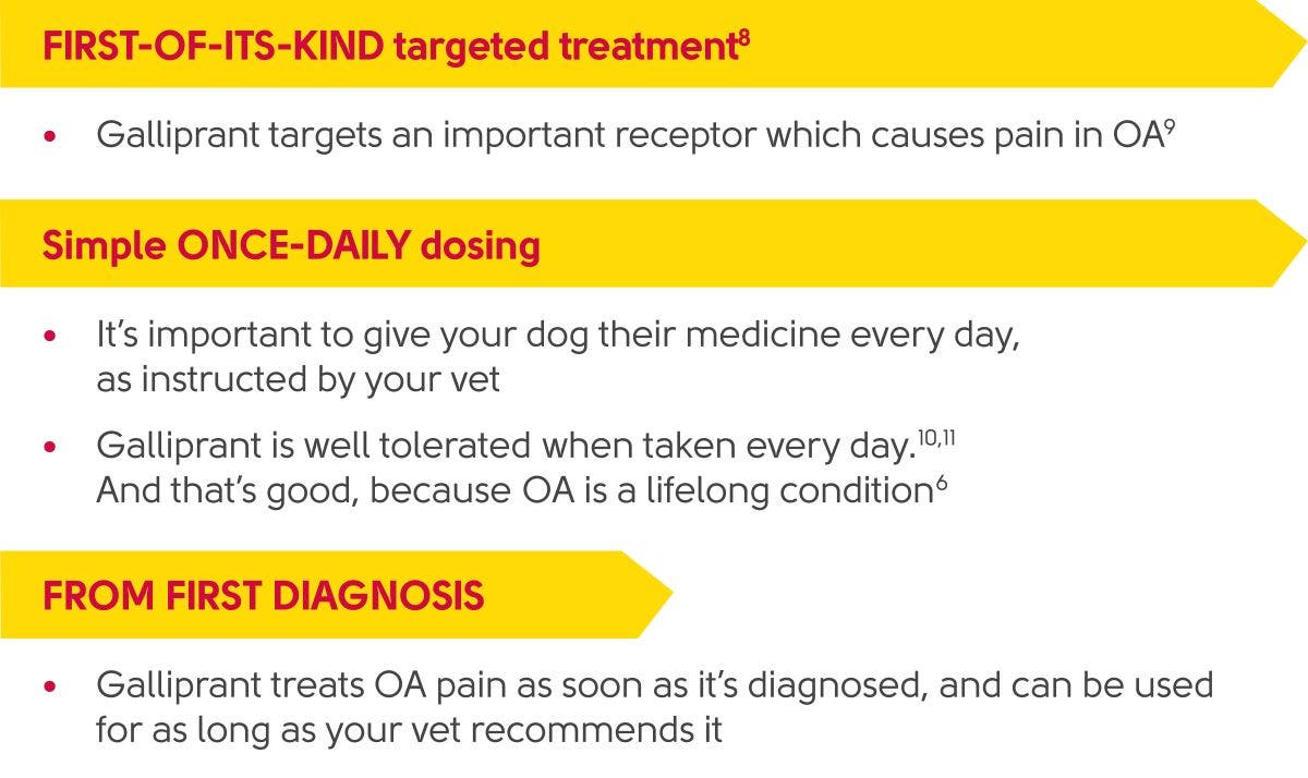 Galliprant key messages for managing canine osteoarthritis