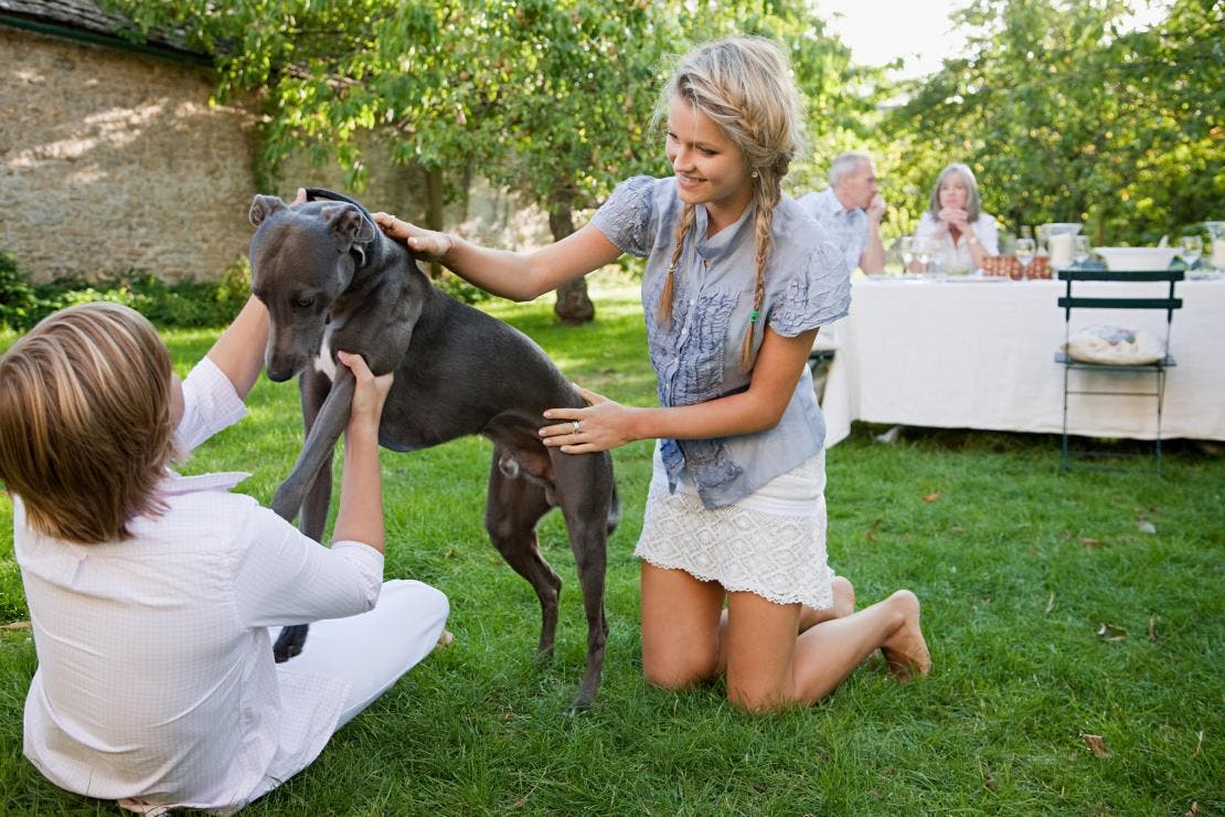 Family playing with dog in the garden