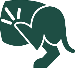 Itchy dogs can suffer from itching and scratching
