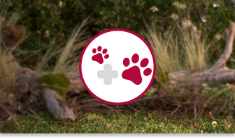 Two red paws and a plus sign in a strikethrough circle on an opaque forest background