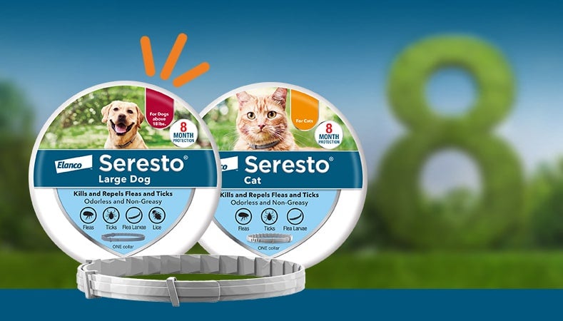 Seresto for Large Dogs and Seresto for Cats product tins in front of a hedge shaped like the number 8