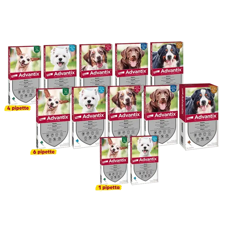 Advantix cane