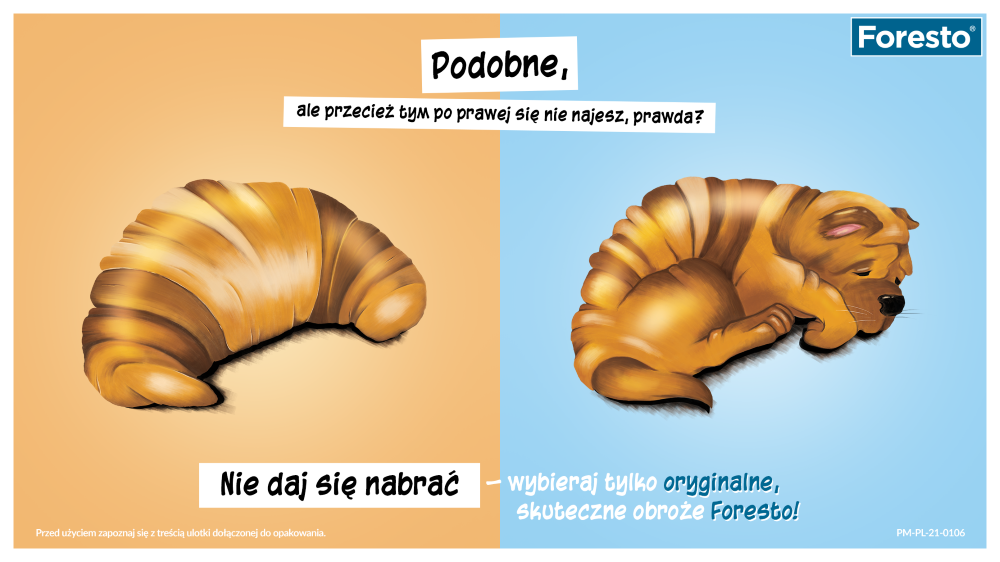 Oryginalna obroża Foresto