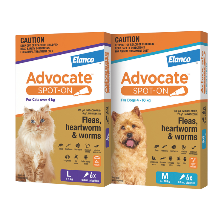 Advocate™ Spot-On for Cats and Dogs