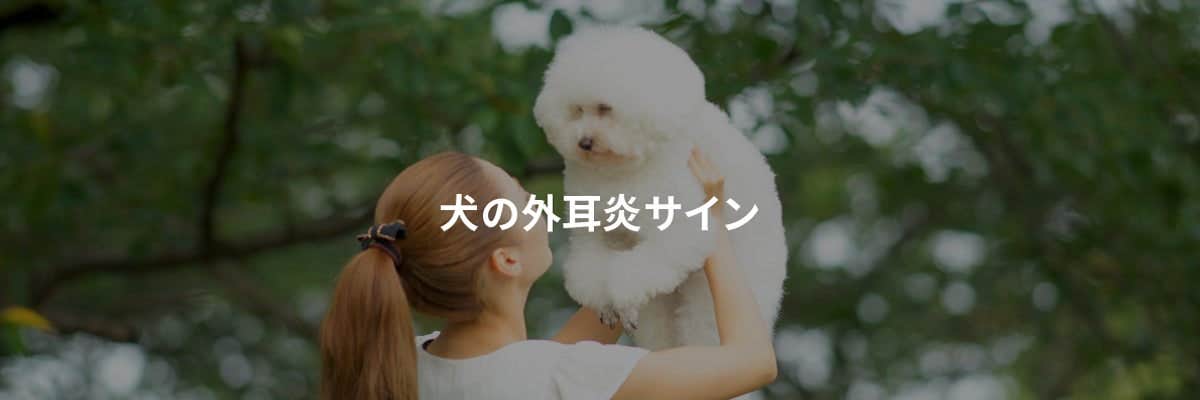 犬の外耳炎サイン