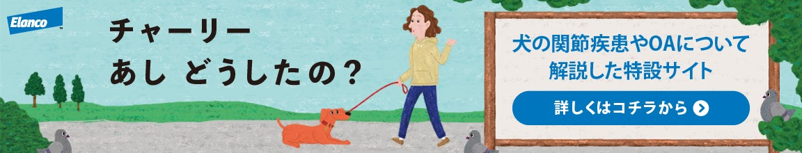 チャーリーあしどうしたの？犬のOA についての特設サイトはこちら