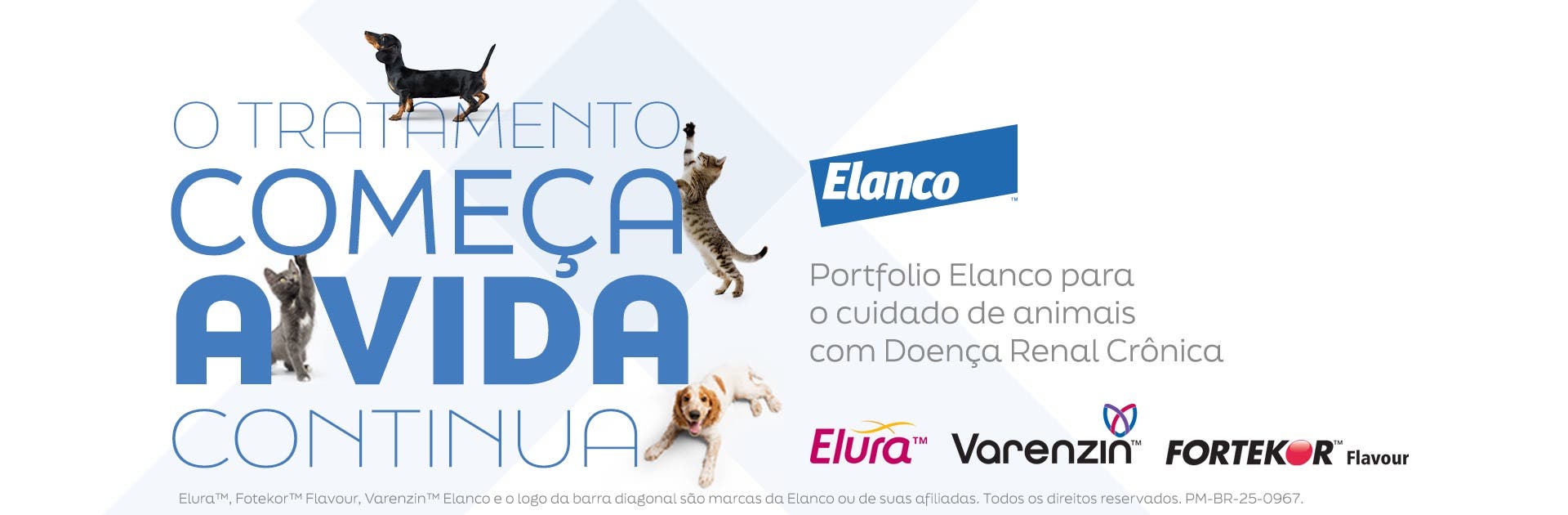 Banner Elanco DRC Desktop