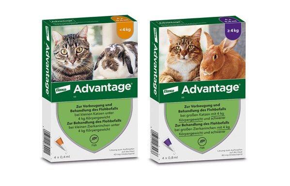 Produktbild Verpackung Advantage Spot-on für Katzen 