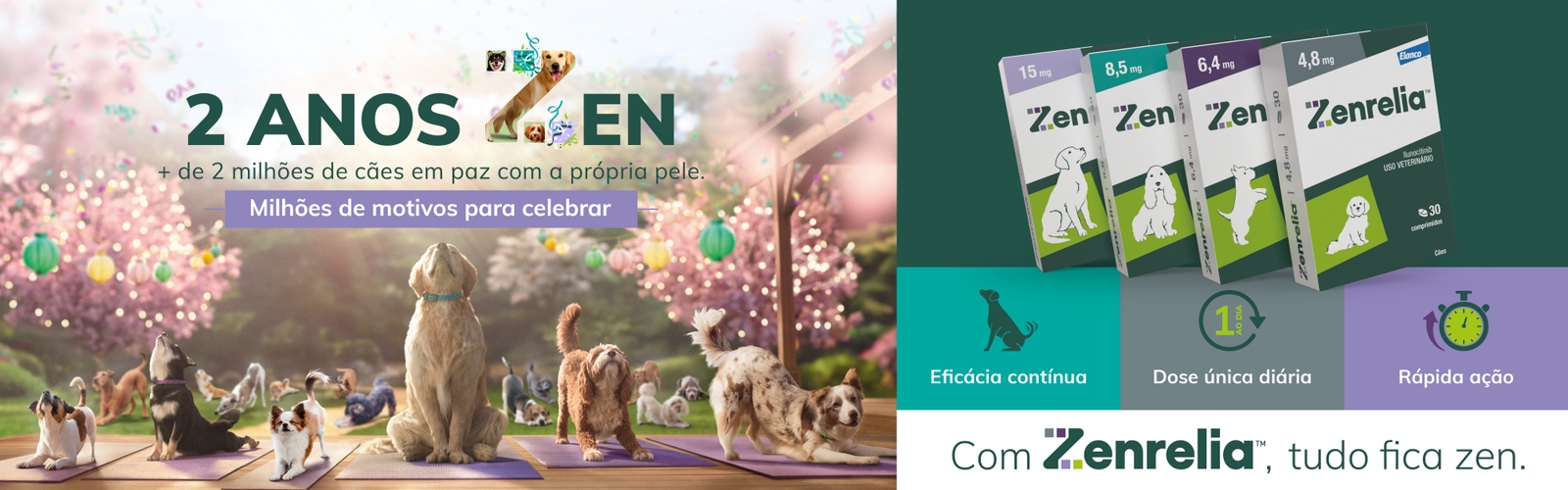 Banner Zenrelia 2 anos desktop