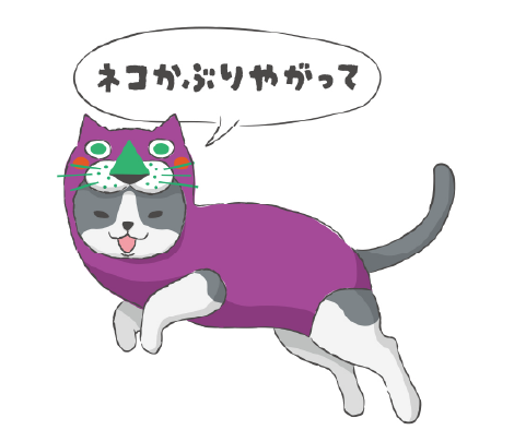 ANSET 待ち受け画像 猫1