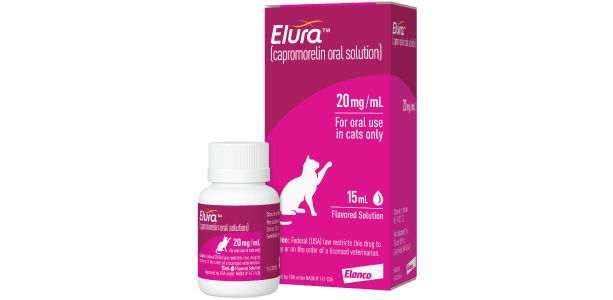 How to Give a Cat Liquid Medicine 8 Easy Steps