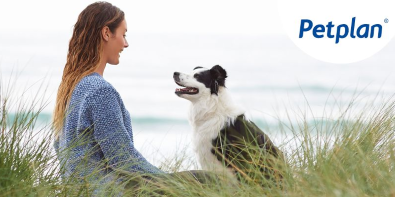 Petplan pet insurance discount