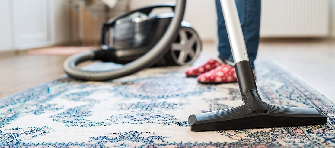 Person hoovering a blue and white rug to remove flea eggs