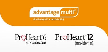 logos of Advantage Multi vs ProHeart 6 and ProHeart 12 