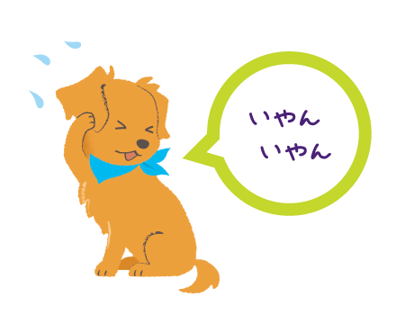 Neptra®　してはいけないこと