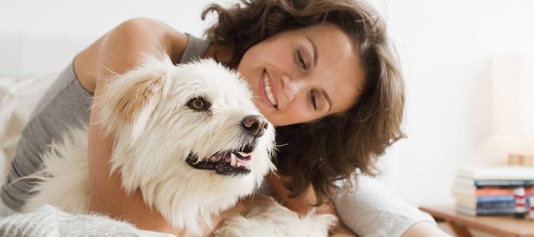  Padrone che mette gocce antiparassitarie al cane