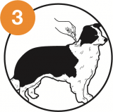 Paso 3: Cómo utilizar y aplicar Advantage Multi para perros