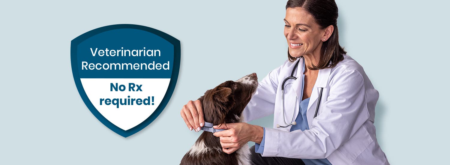 The Seresto Flea & Tick Collar is recommended by veterinarians and does not require a prescription