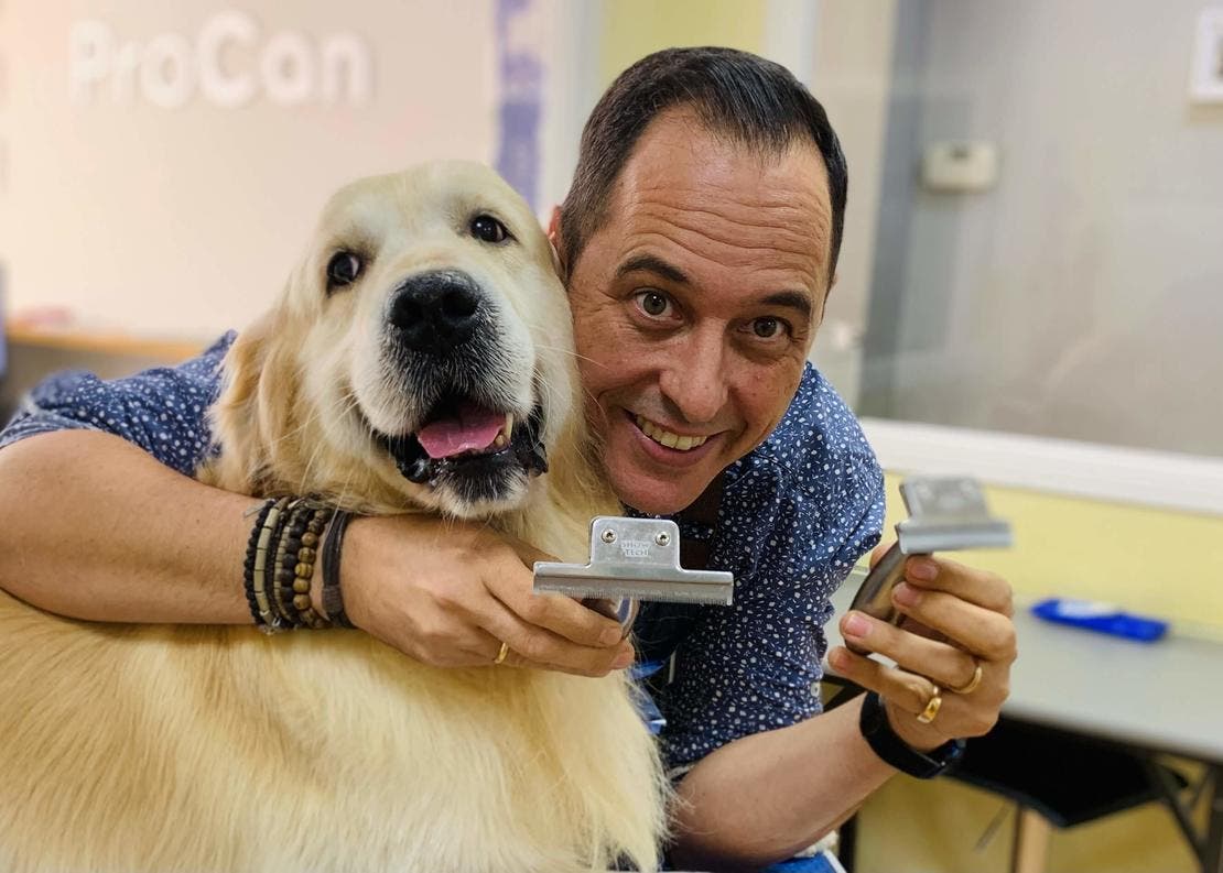 Deslanadores cepillado perro