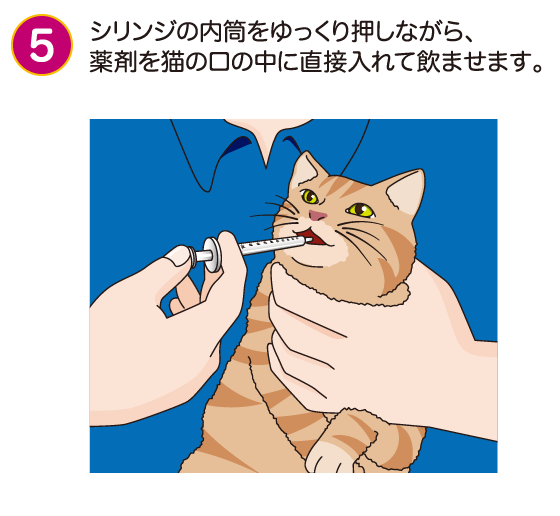 エルーラ手順⑤