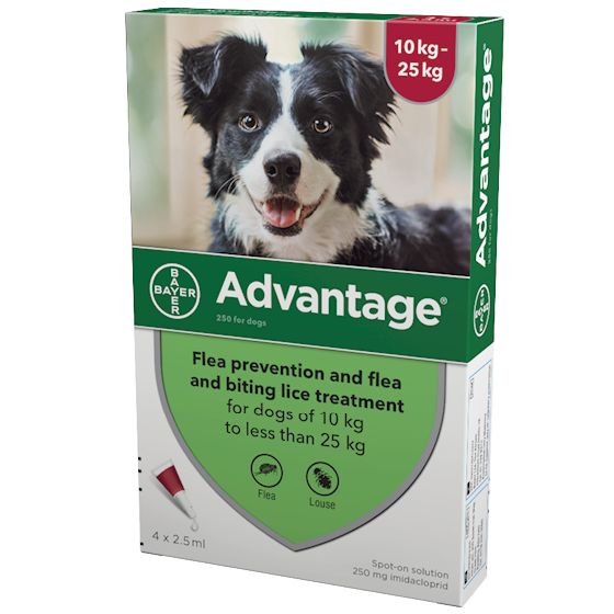 Advantage spot on flea treatment for dogs of 10kg to less than 25kg 
