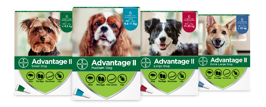 Advantage®II Dog Flea Treatment Range