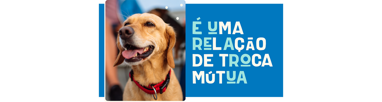 Adoção é uma relação de troca mútua
